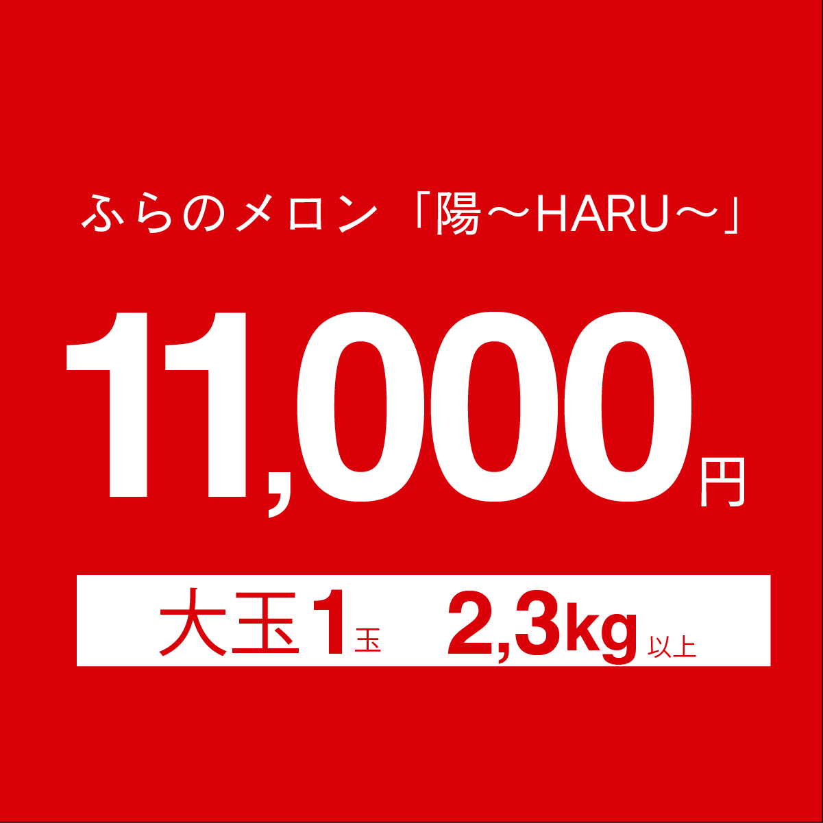 ふらのメロン　「陽～HARU～」　大玉　2.3㎏以上×１玉　赤肉