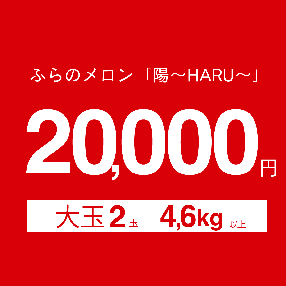 ふらのメロン　「陽～HARU～」　大玉　2.3㎏以上×２玉　赤肉