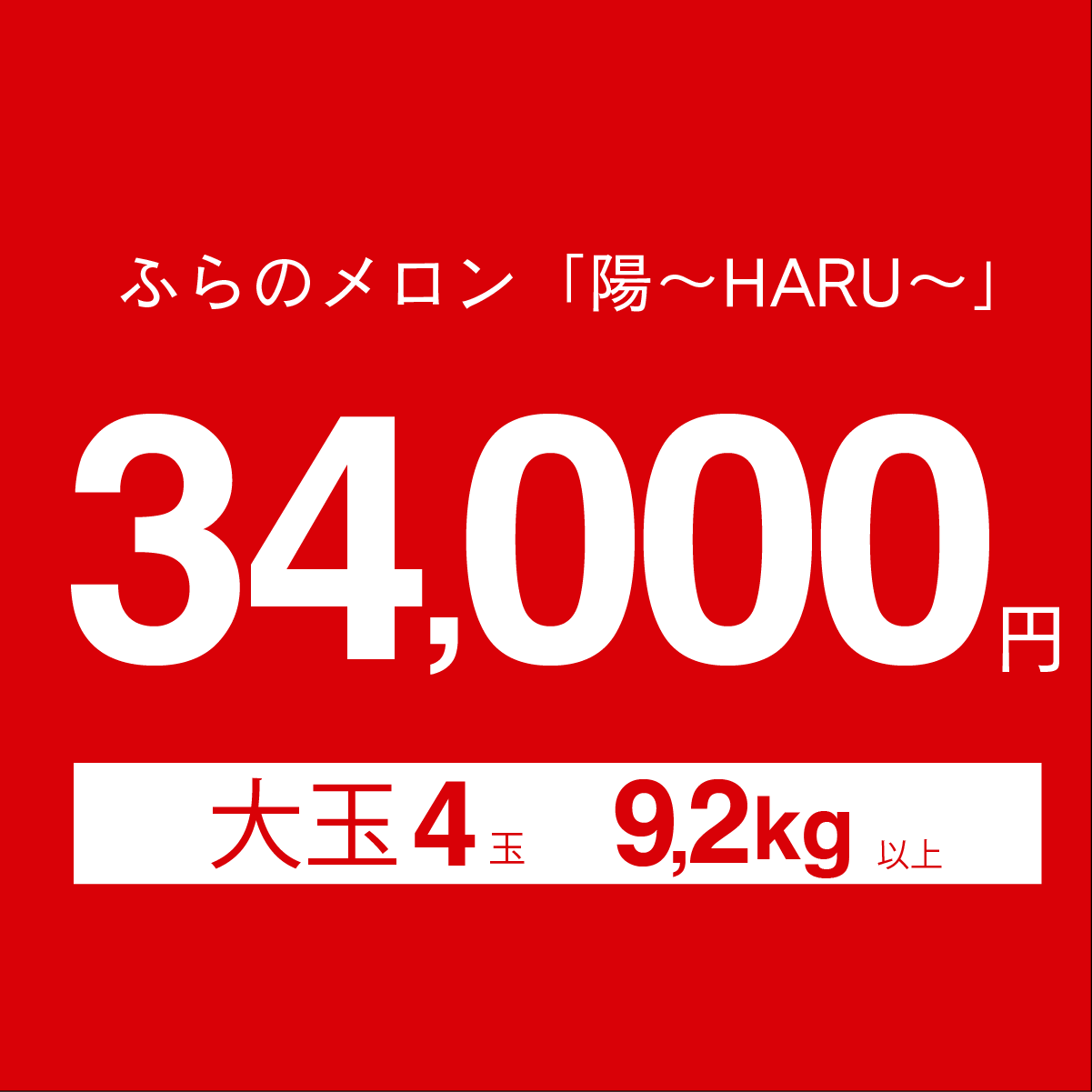 ふらのメロン「陽 ～HARU～」大箱 8kg以上(大玉×4玉)(赤肉)富良野メロン