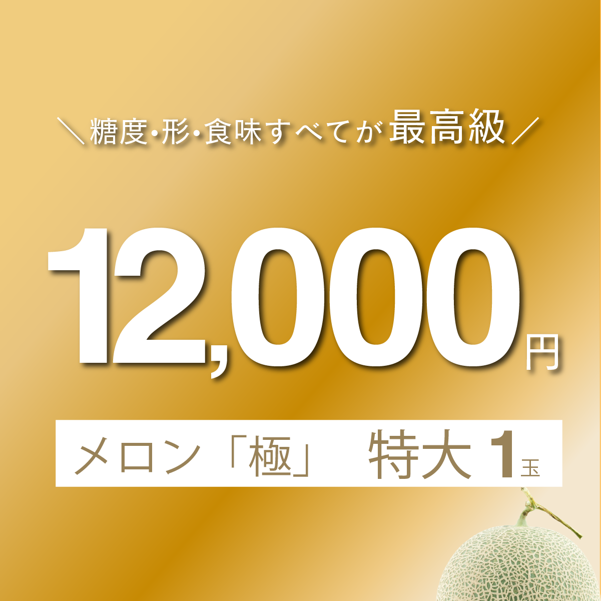 富良野メロン「極」　特大1玉入り