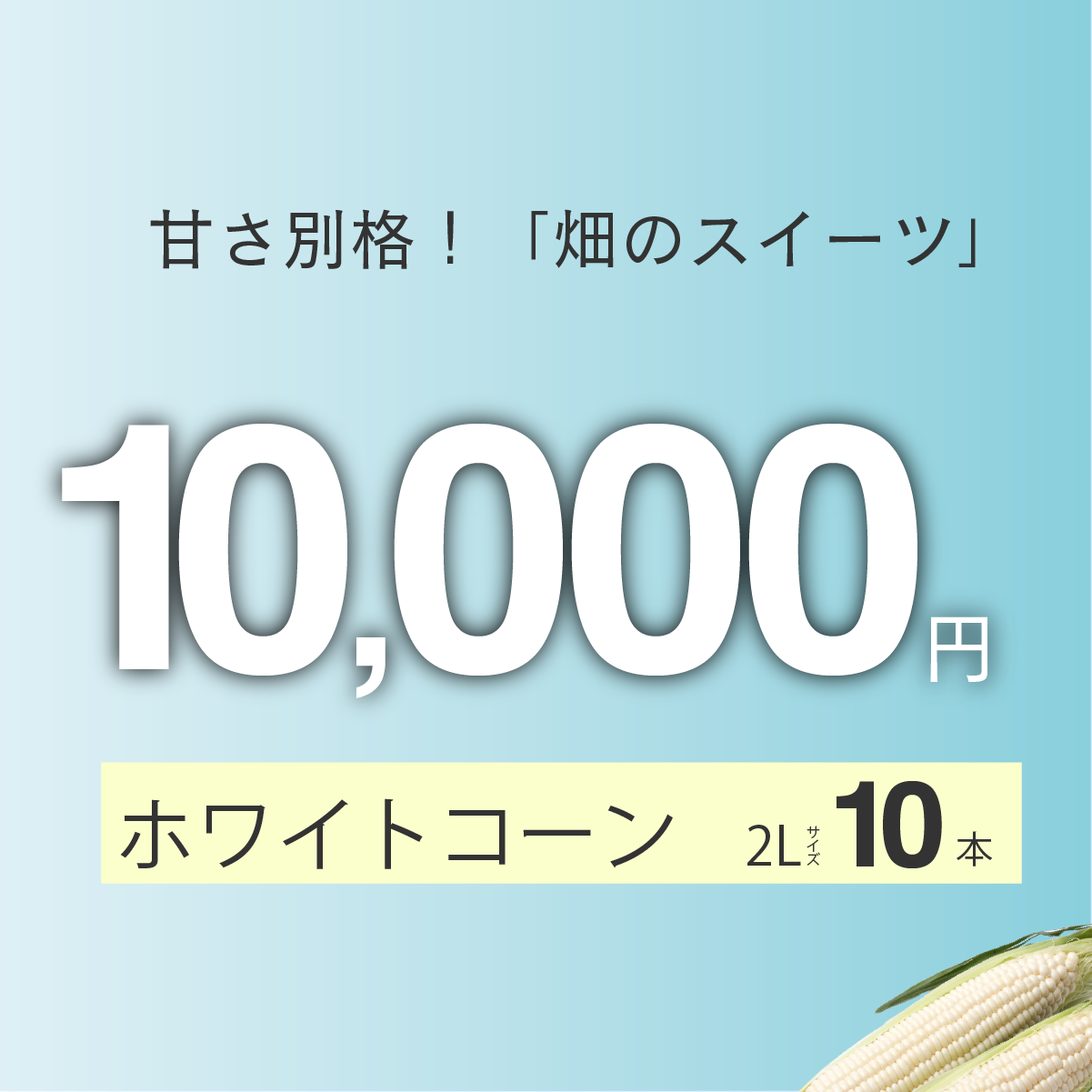 富良野産　ホワイトコーン　2Lサイズ10本入り