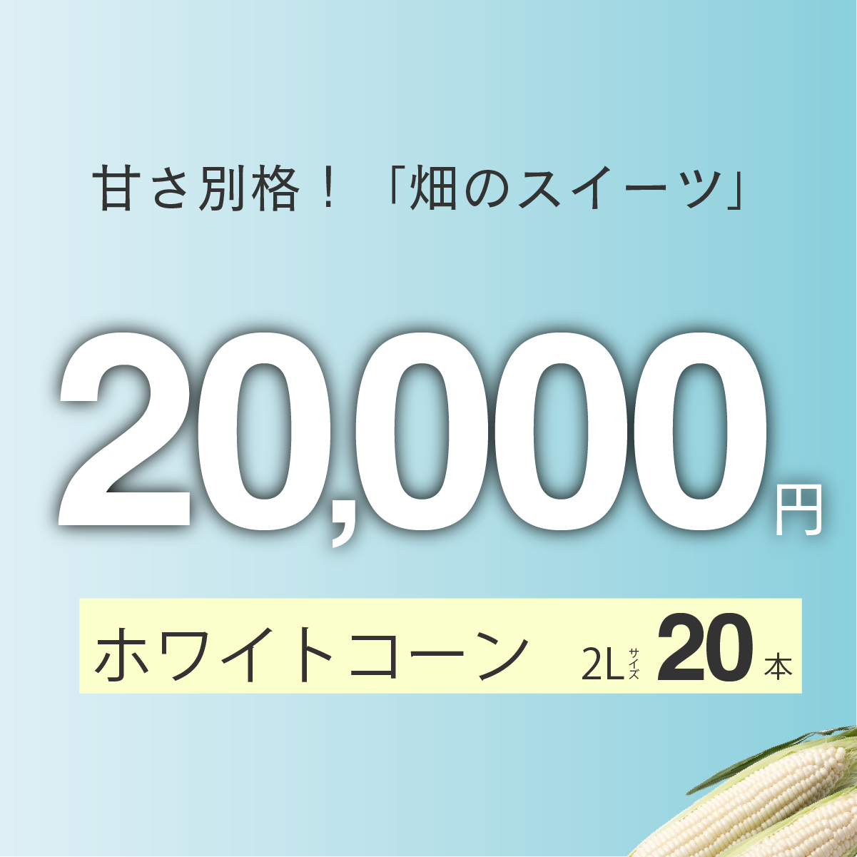 富良野産　ホワイトコーン　2Lサイズ20本入り
