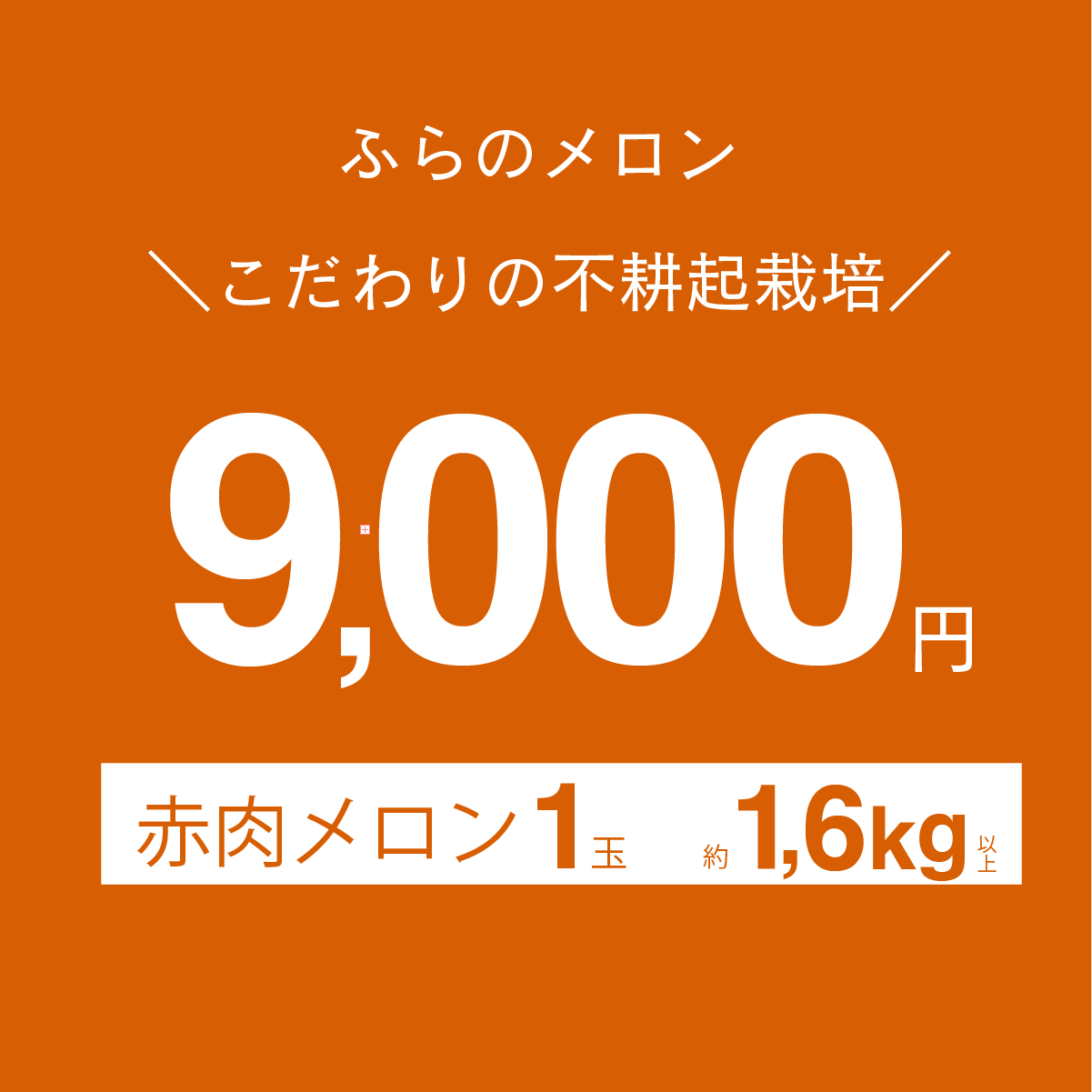 富良野メロン　赤肉　1.6kg以上　×　1玉