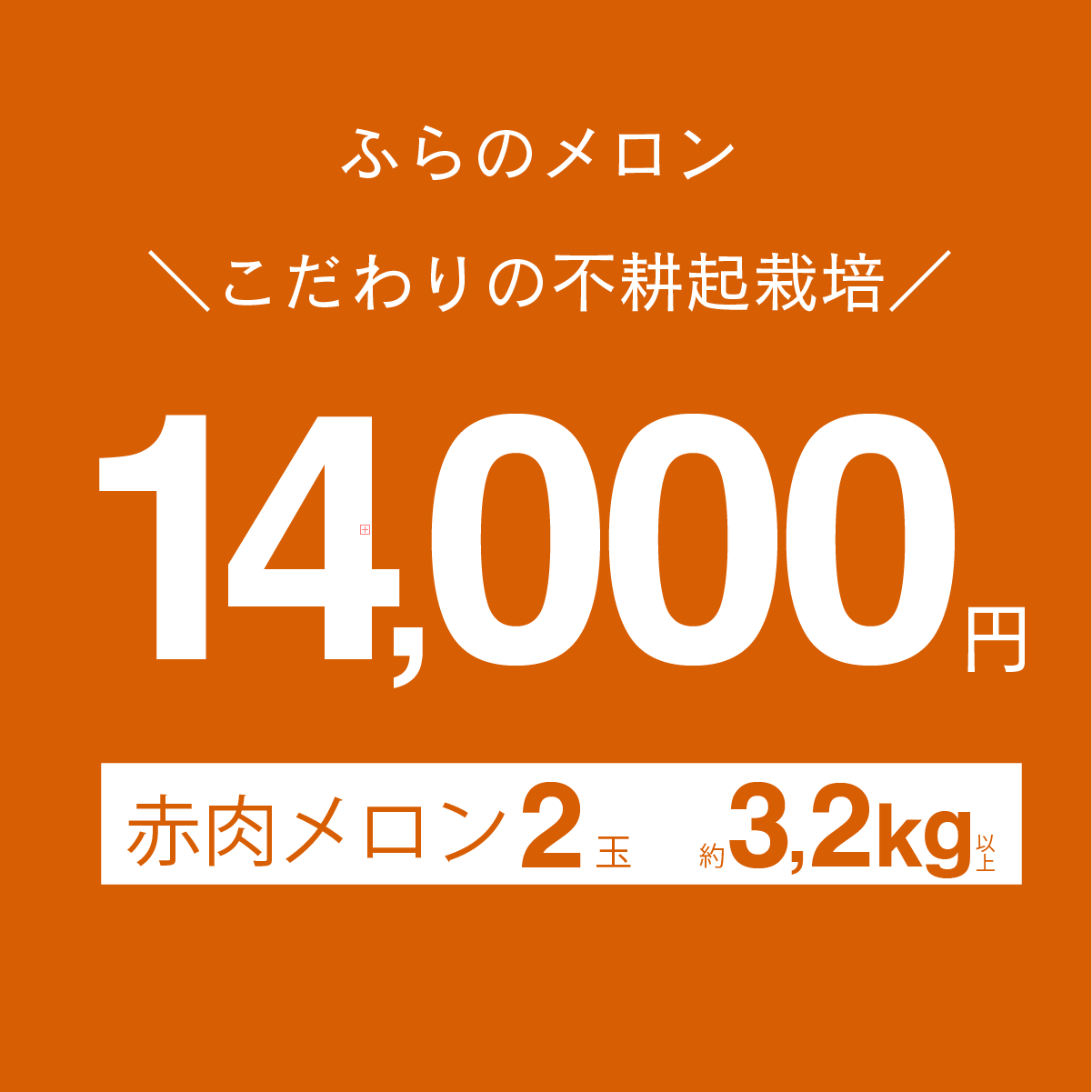 富良野メロン　赤肉　1.6kg以上　×　2玉