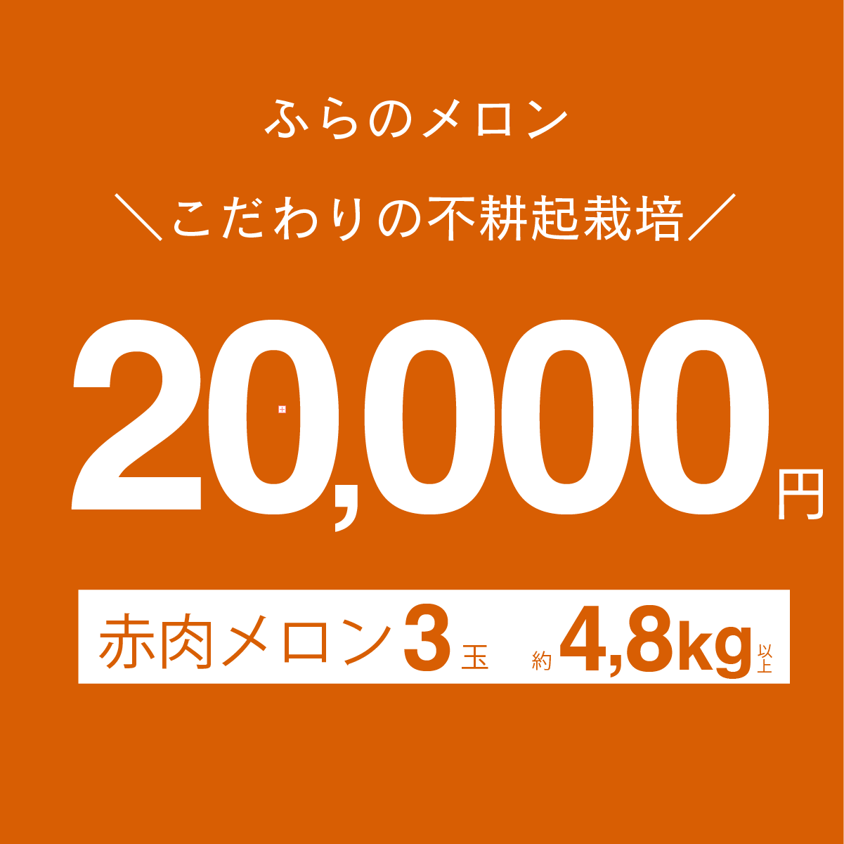 富良野メロン　赤肉　1.6kg以上　×　3玉