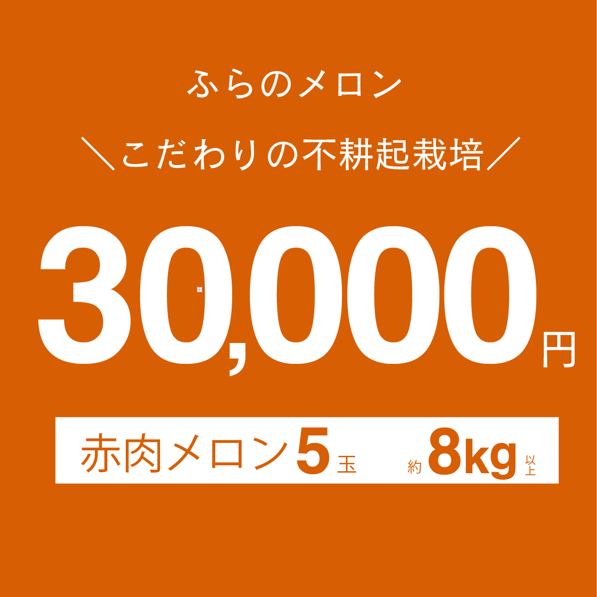 富良野メロン　赤肉　1.6kg以上　×　5玉