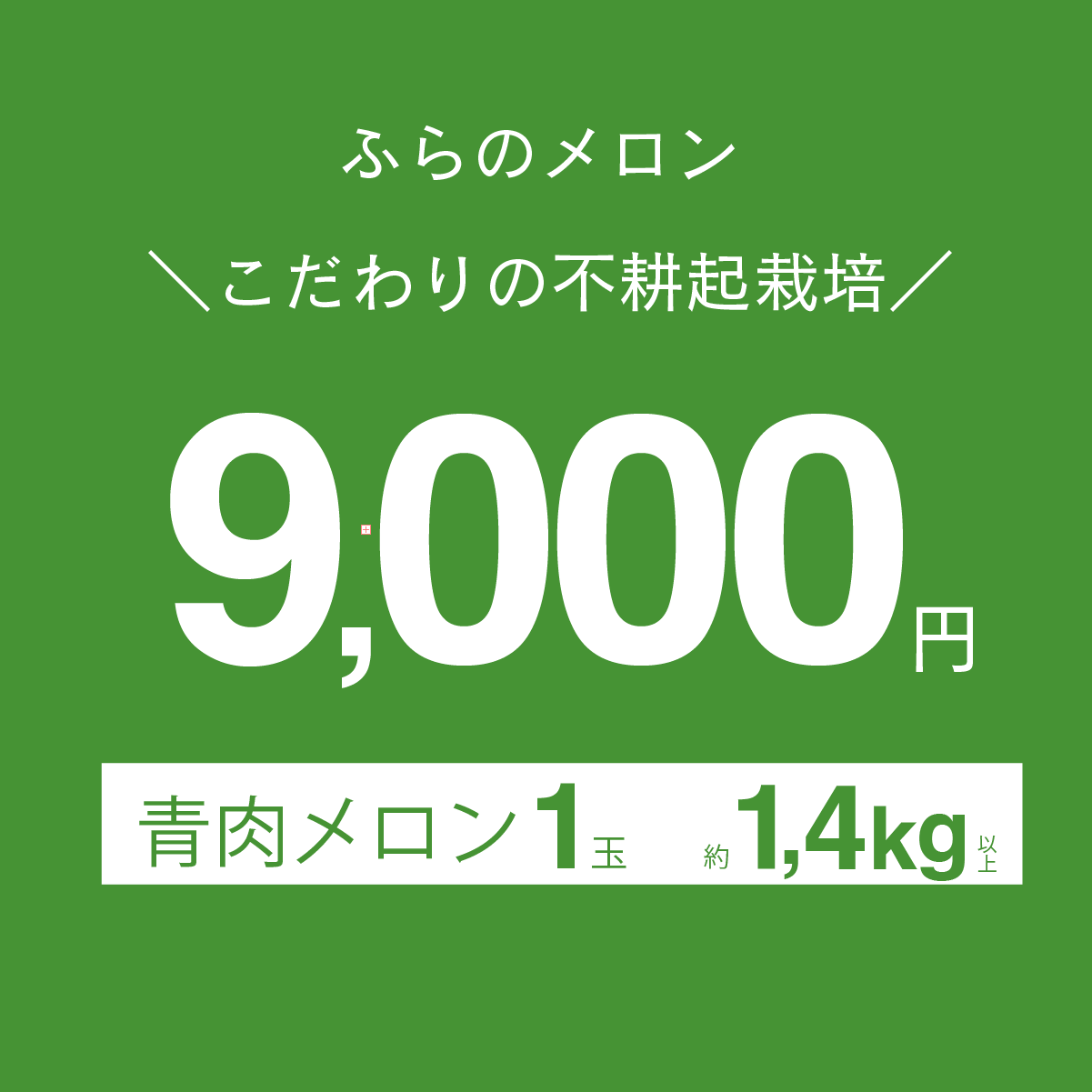 富良野メロン　青肉　1.4kg以上　×　1玉
