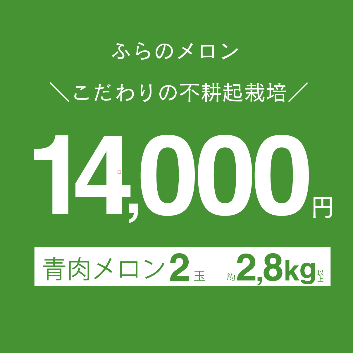 富良野メロン　青肉　1.4kg以上　×　2玉