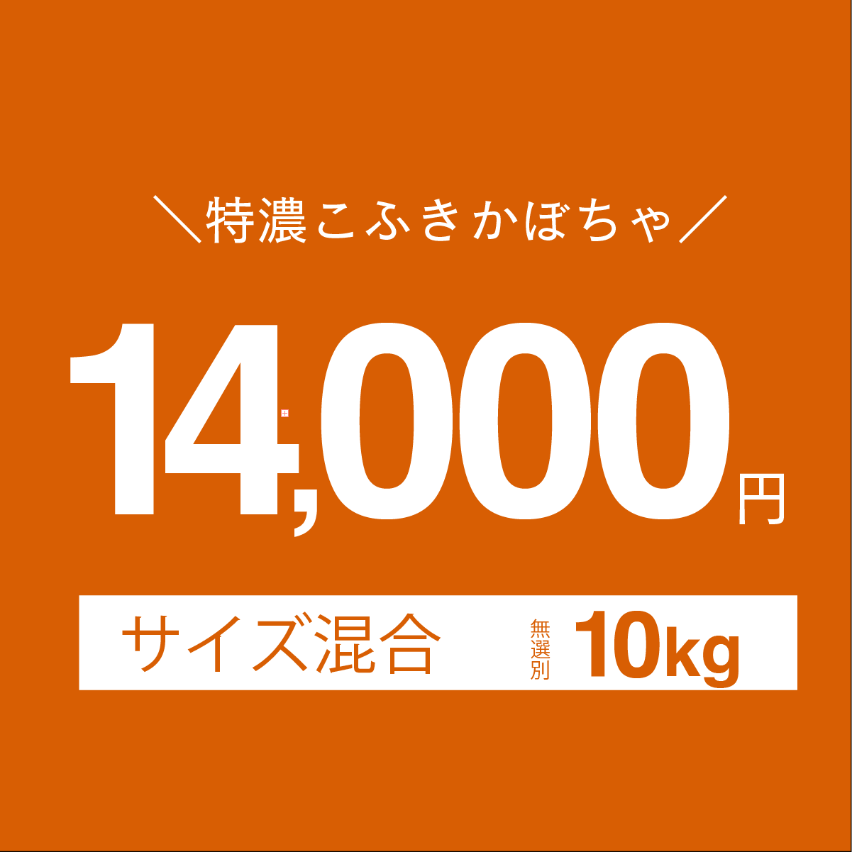 富良野産　かぼちゃ　「特濃こふき」　10kg