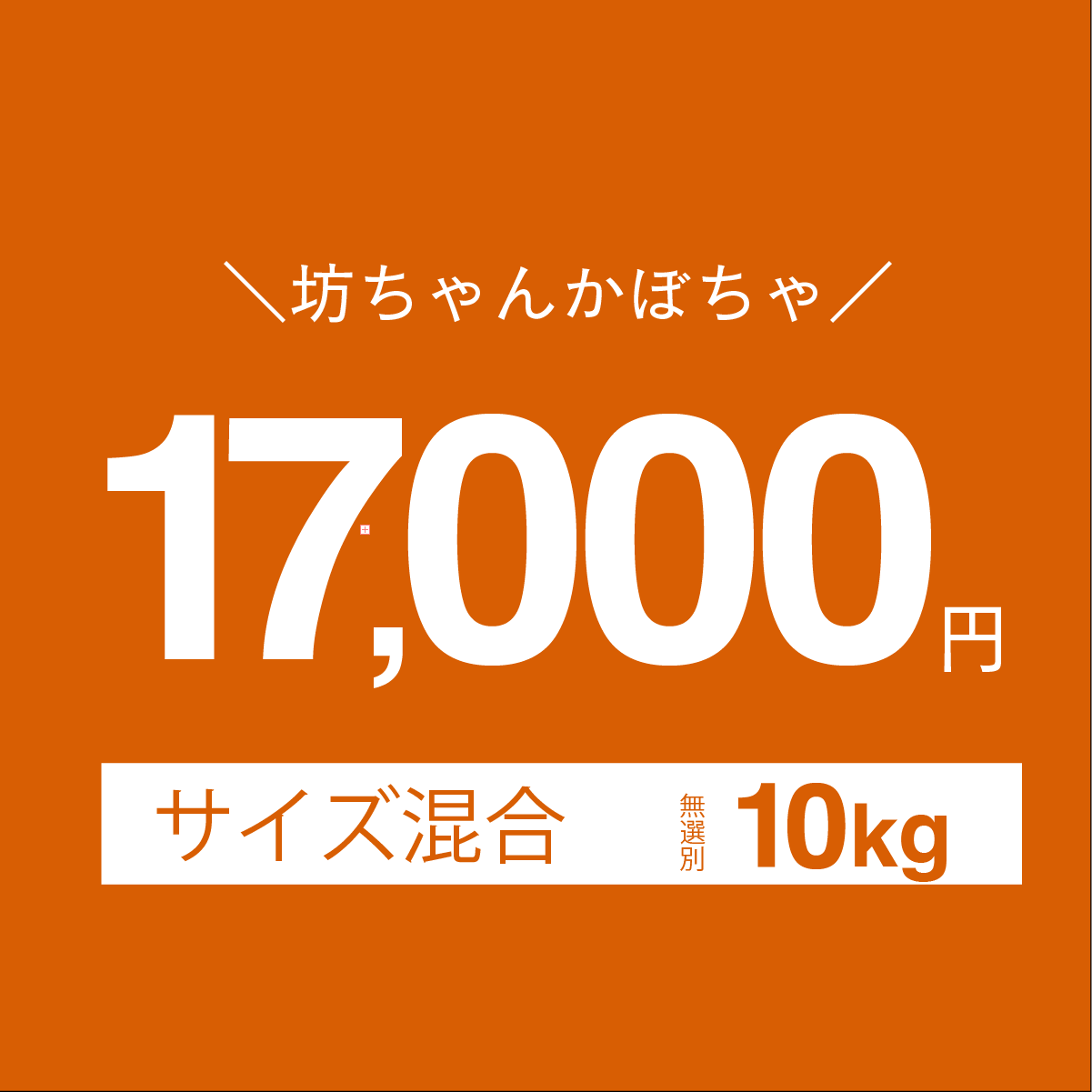 富良野産　かぼちゃ「坊ちゃんかぼちゃ」　10kg