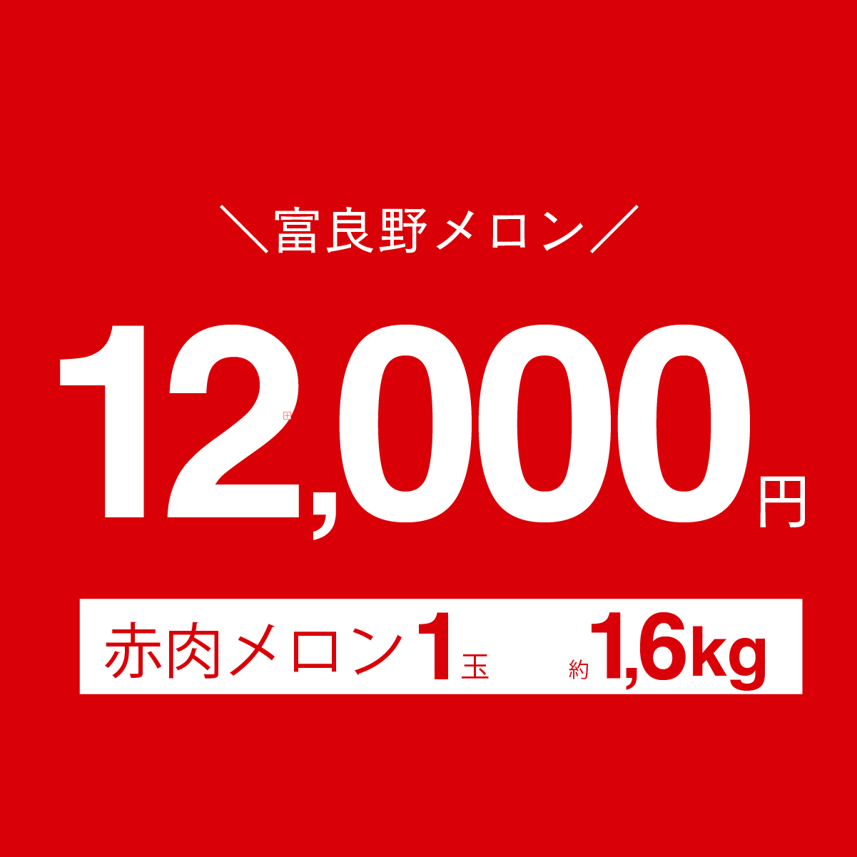 富良野メロン　1.6kg × 1玉