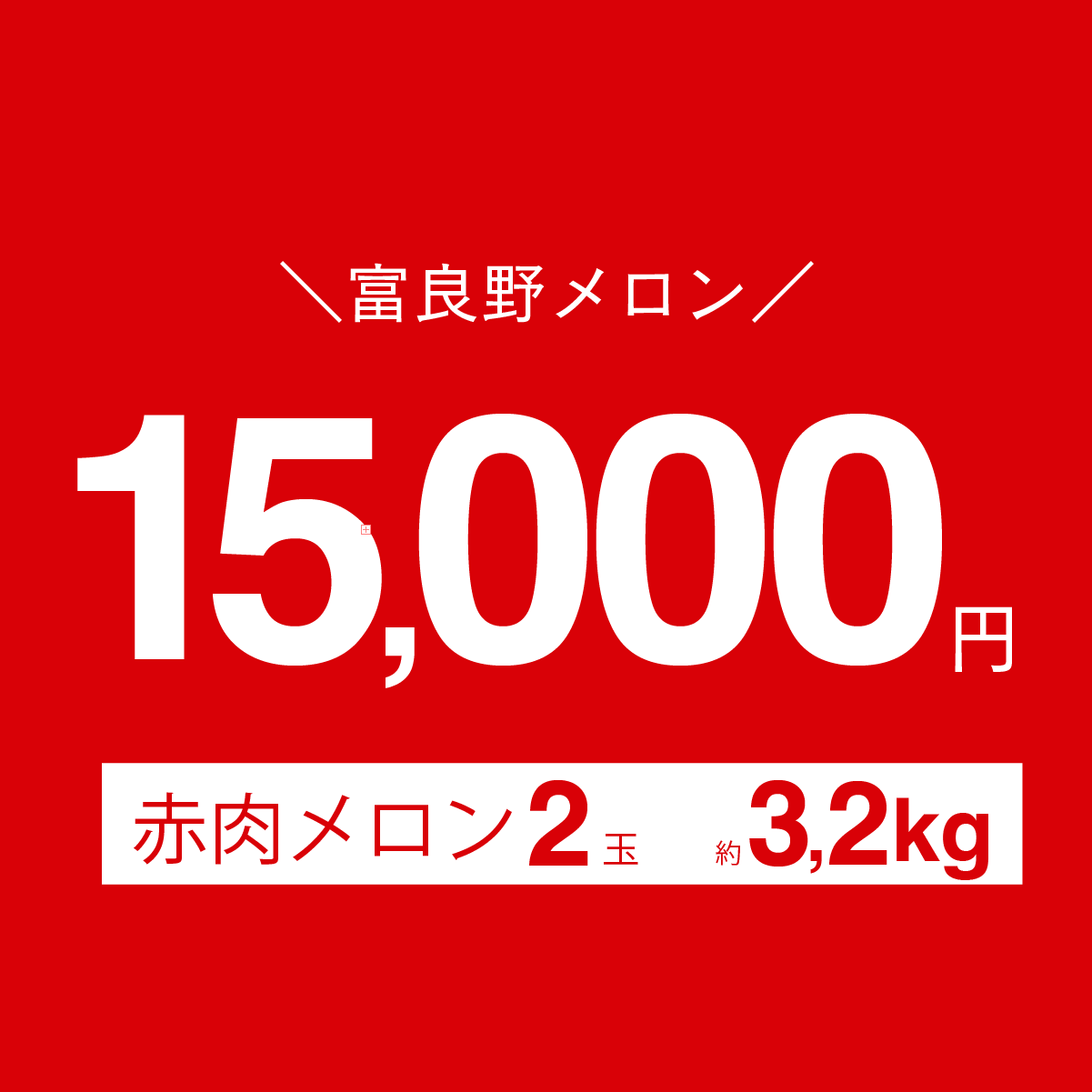 富良野メロン　1.6kg × 2玉