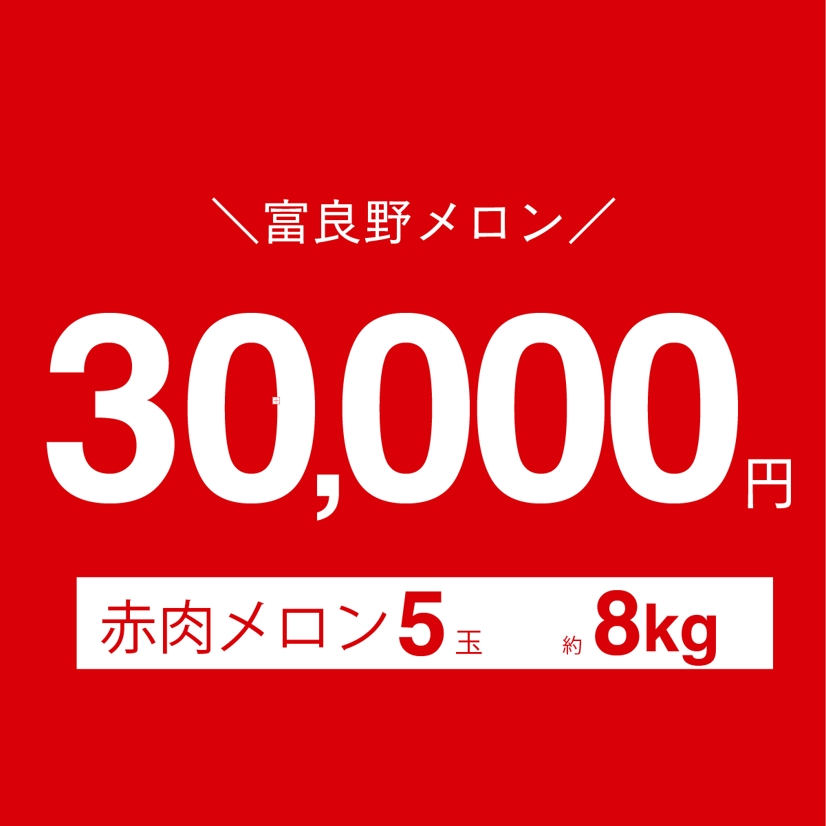 富良野メロン　1.6kg × 5玉