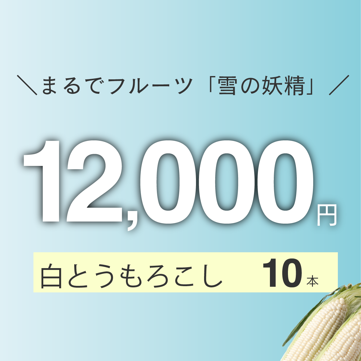 白とうもろこし「雪の妖精」　10本